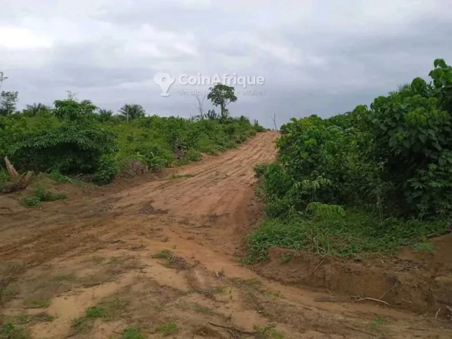 Terrain agricole 3 ha – Ngombe Village