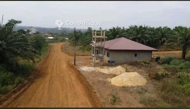 Terrains 10000m²  – douala ngombe