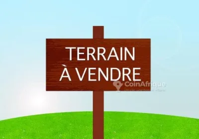 Terrains 1000m² – Douala