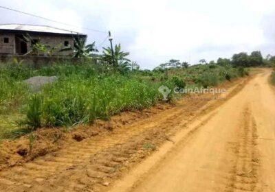 Terrains 1000m² – Douala Lendi