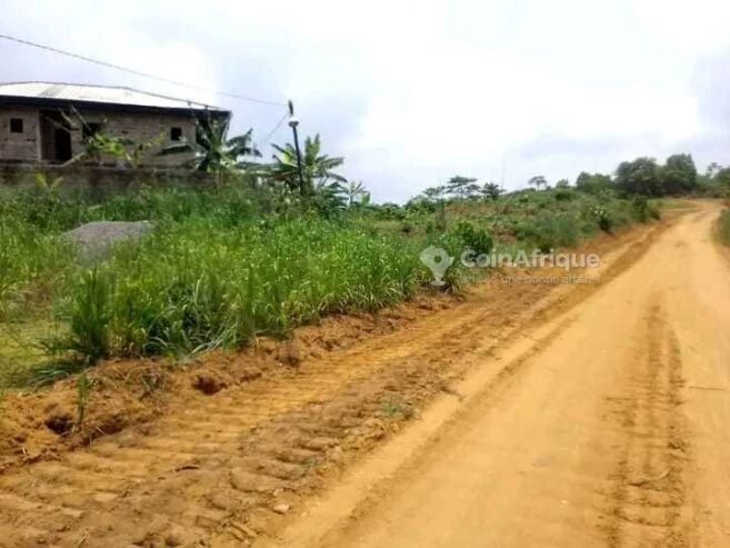 Terrains 1000m²  – Douala Lendi