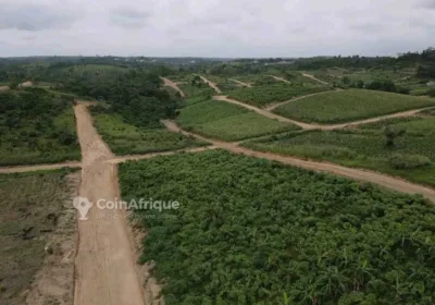 Terrains 17000m² – douala ngombe