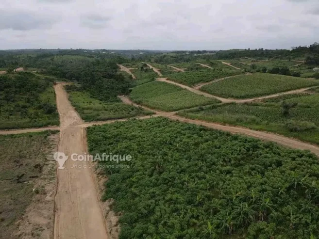 Terrains 17000m²  – douala ngombe