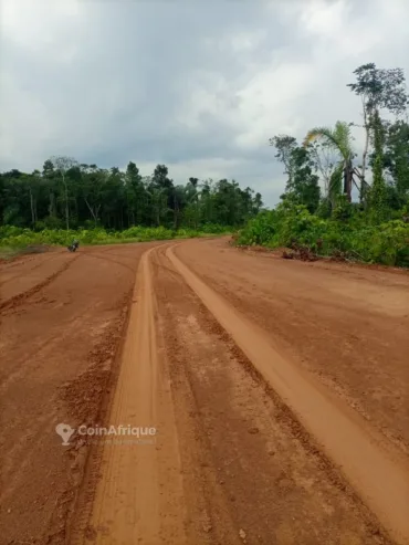 Terrains 20000m²  – douala bonepoupa