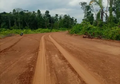 Terrains 20000m² – douala bonepoupa