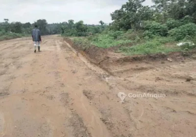 Terrains 30000m² – douala ngombe village après lendi