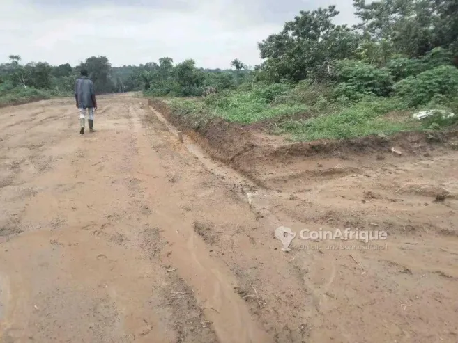 Terrains 30000m²  – douala ngombe village après lendi