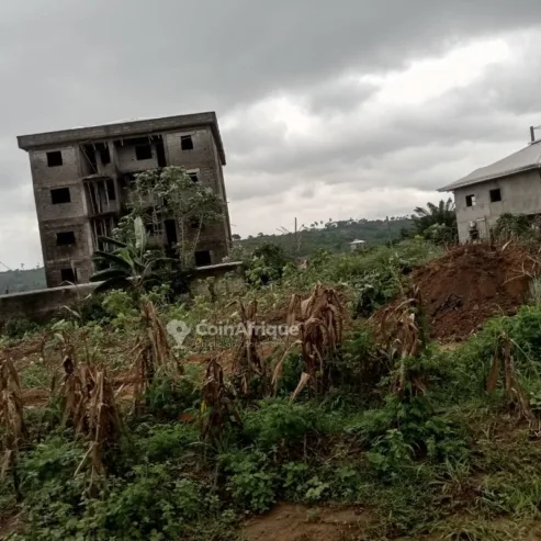 Terrains 800m²  – douala lendi ville