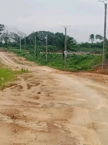 Terrains titré à Ngombe