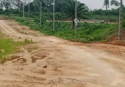 Terrains titré à Ngombe