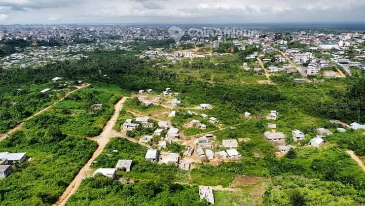 vente terrains 500  – douala 21