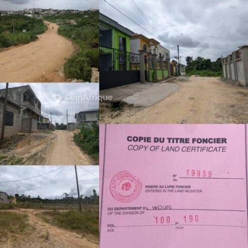 vente terrains 50000  – douala