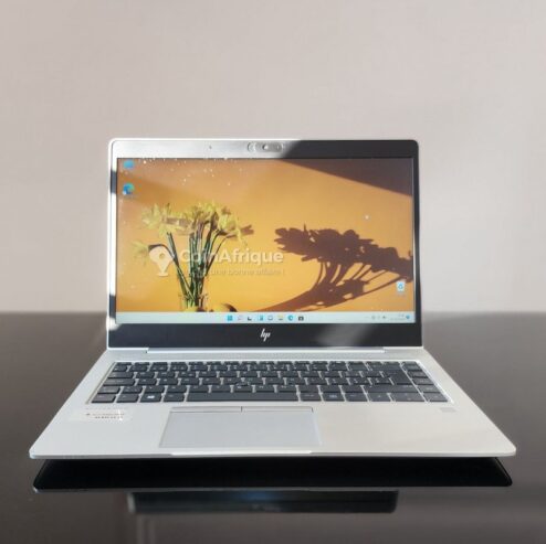 HP Elitebook 745 G6 2gb dédié