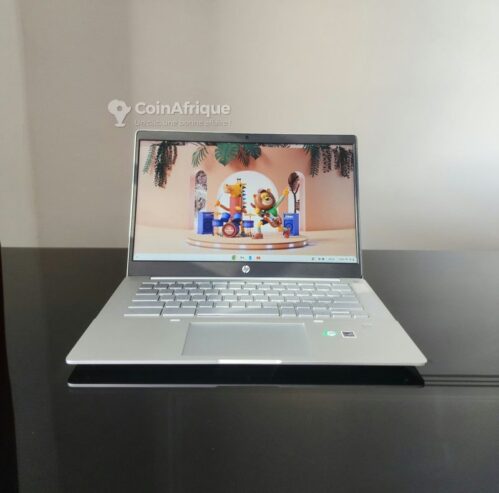 Hp chromebook ryzen 5 pro tactile