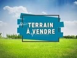 Terrain 10 Hectares – Yassa