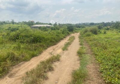 Terrain 1000 m² – Yassa