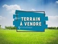 Terrain 300 m² – Bonamoussadi Village