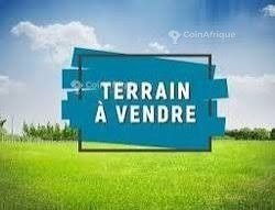 Terrain 500 m² – Bonamoussadi