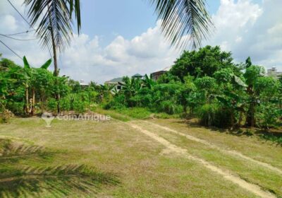 Terrain 600 m² – Japoma