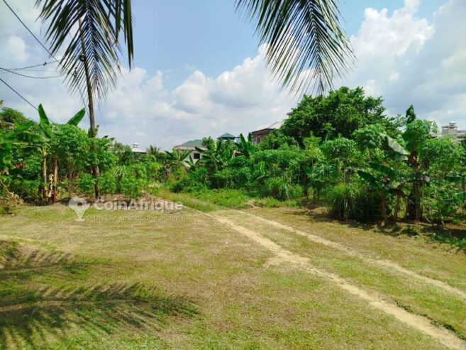 Terrain 600 m² – Japoma