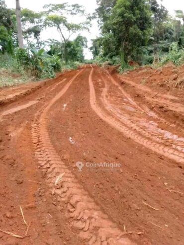 Terrain à Kendeck dibamba