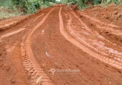 Terrain à Kendeck dibamba