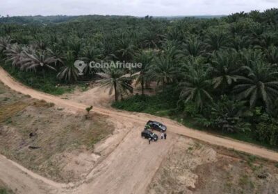 Terrain à Ngombe Lendi