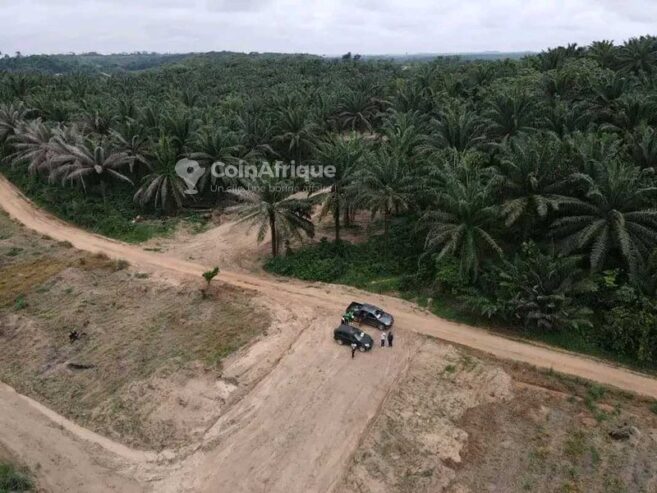 Terrain à Ngombe Lendi