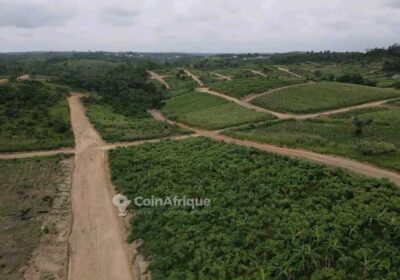 Terrain à carrefour Mbongo missole 2