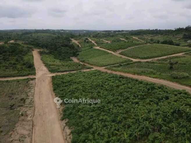 Terrain à  carrefour Mbongo missole 2