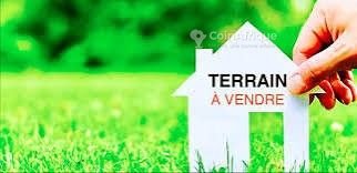 Terrain agricole 5 ha – Lendi B