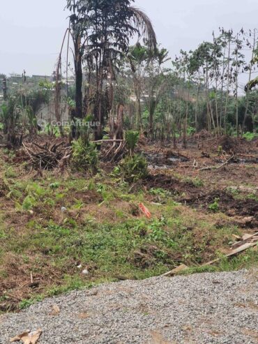 Terrain de 500m² à Mbwang bakoko