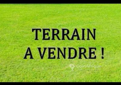 Terrain titré 220m² sur le goudron à Bepanda