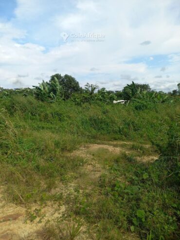 Terrain titré 500m² au pk27