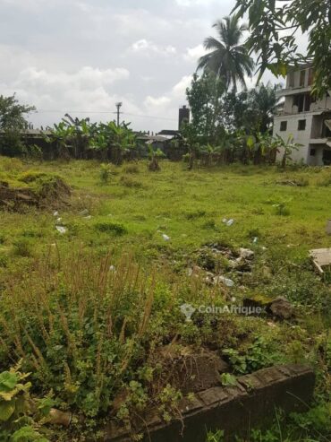 Terrains 2000m² a Bonaberi  – douala