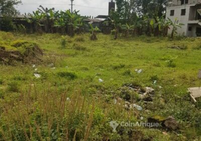 Terrains 2000m² a Bonaberi – douala