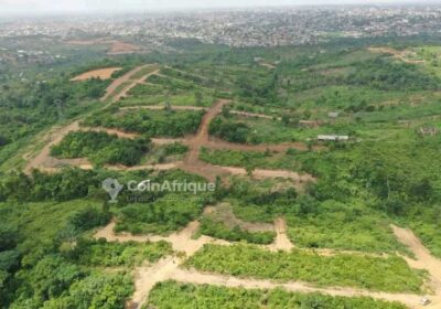 Terrains 5000 m² – Ngombe village