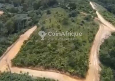 Terrains 5000m² – Douala