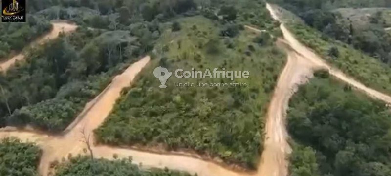 Terrains 5000m²  – Douala