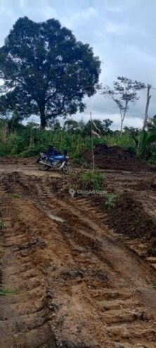 Terrains 500m²  – Douala