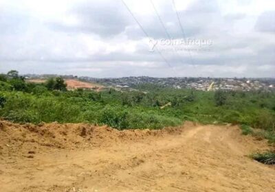 Terrains titré à Missolé 2 carrefour mbongo