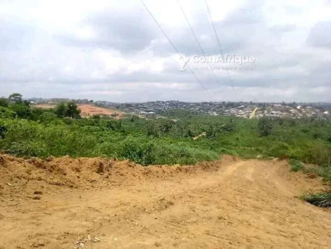 Terrains titré à Missolé 2 carrefour mbongo