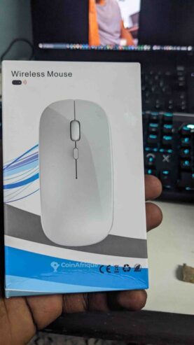 souris sans fil rechargeables