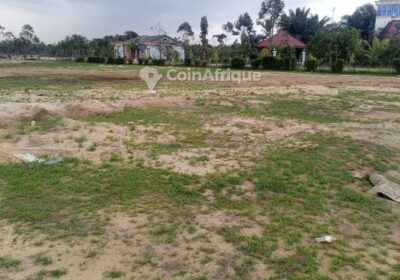 Terrain 300m` – Lendi – Douala