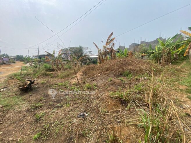 Terrain 300m²  – Yassa Yaticka
