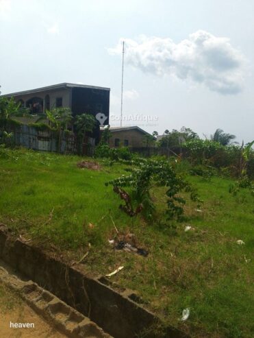 Terrain 327 m² – Logbessou