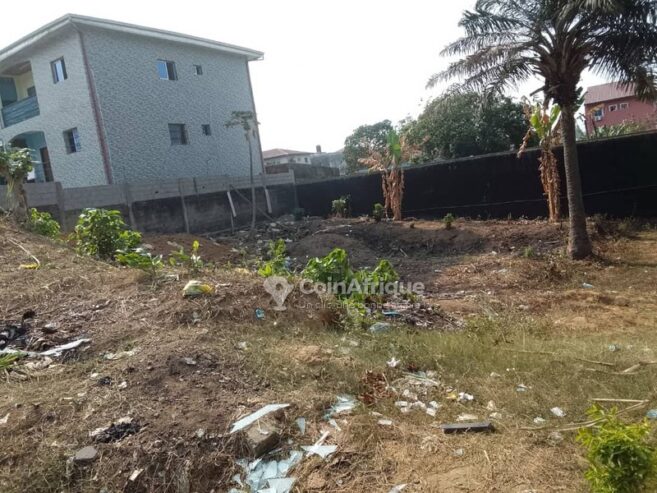 Terrain 500 m² – Kotto