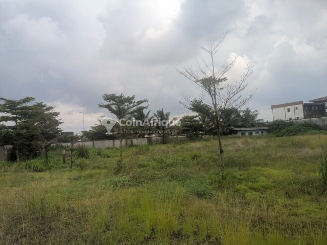 Terrain 500m² –  Yassa