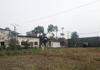 Terrain 555m2 – Douala