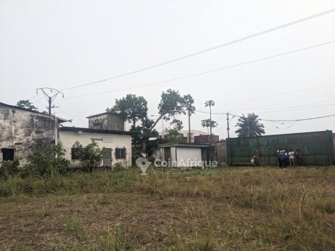 Terrain 555m2 – Douala